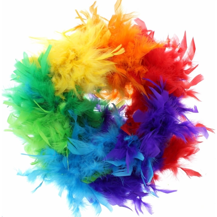 Feather Boa Gay Pride Rainbow Multicoloured Stylex Party ST4896