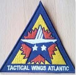 Top Gun Goose Nick Bradshaw Sew On Costume Patch Set