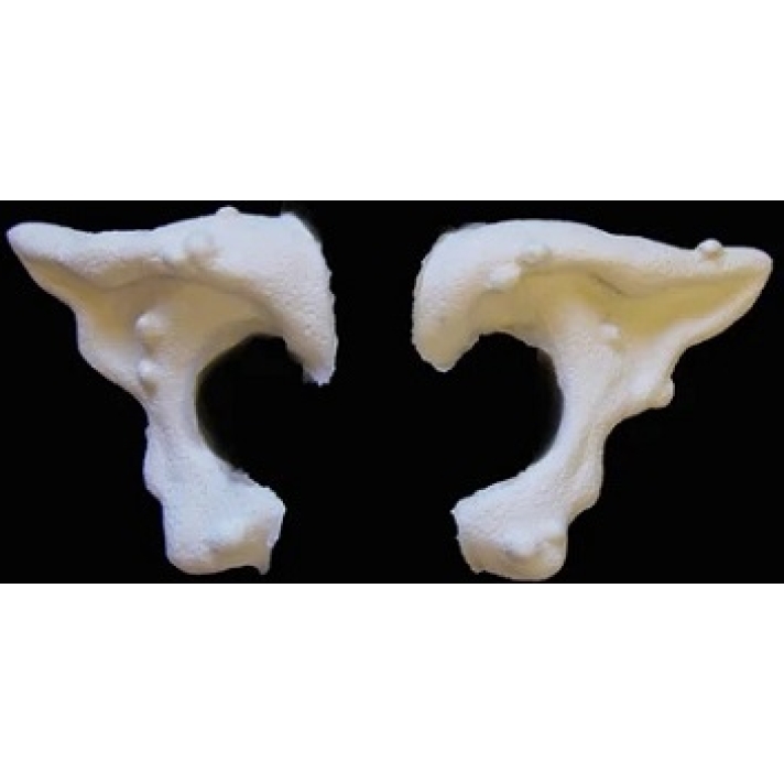 Witch Foam Latex Prosthetic Ears