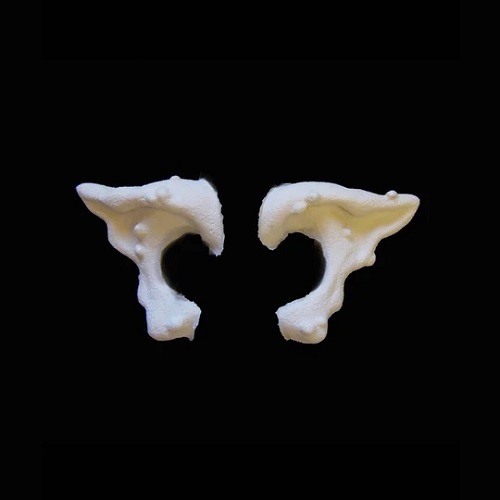 Witch Foam Latex Prosthetic Ears
