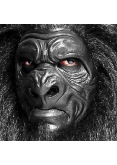 Woochie Gorilla Painted