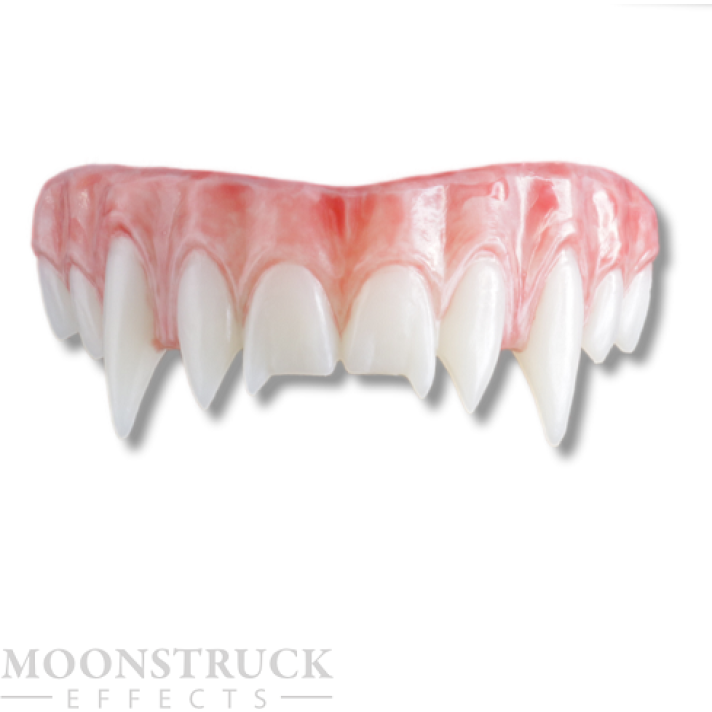 Moonstruck Effects Wyndigu Wolf Fangs