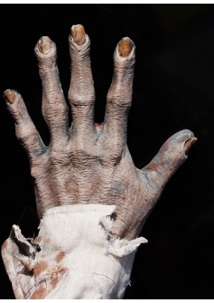 Zombie Hands Painted