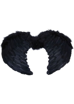 angel-wings-feather-black-small-fancy-dress-halloween-costume-party-bristol-novelty-ba1099-1608-p