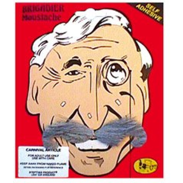 Brigadier Moustache