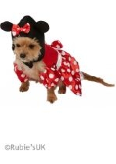 dog-puppy-cat-pet-disney-minnie-mouse-fancy-dress-party-costume-rubies-580207-size-small-chest-14-neck-to-tail-11-9292-p