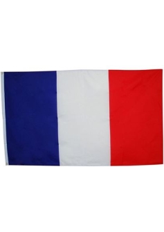 french-tricolor-polyester-large-european-flag-5-x-3-party-room-decoration-bristol-novelty-pg015-1714-p