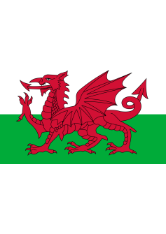 welsh-dragon-polyester-large-british-flag-5-x-3-party-room-decoration-e-apollo-6203-15096-p