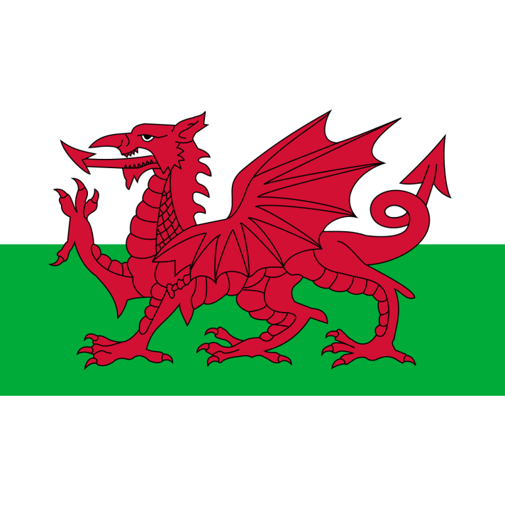 Welsh Flag E Apollo 6203