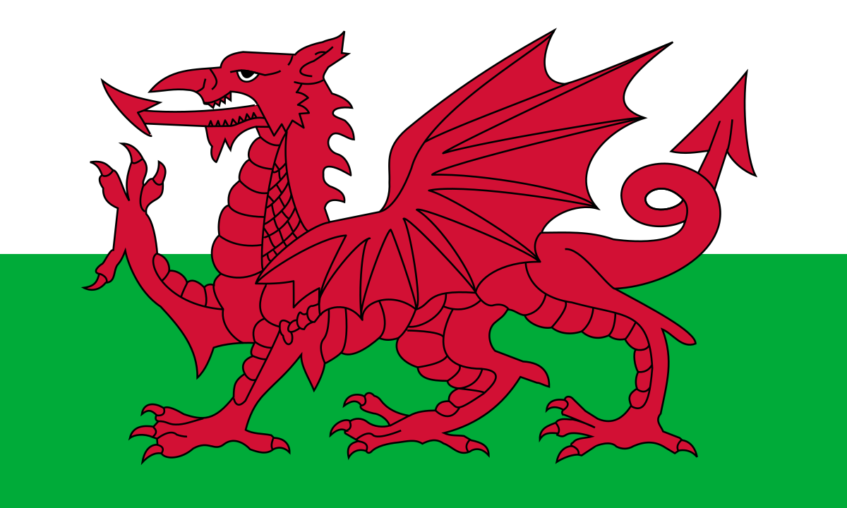 Welsh Flag E Apollo 6203